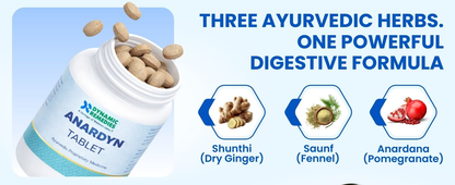 Anardyn Ayurvedic Digestive Tablets for Gas, Acidity, Bloating & Low Appetite | With Shunthi, Anardana & Saunf | Supports Healthy Digestion | 60 Tabs